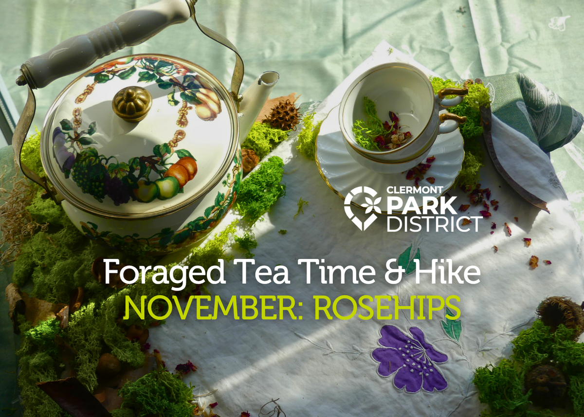 teatimerose